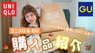 【ユニクロ&GU購入品】秋冬コーデアイテム🍠