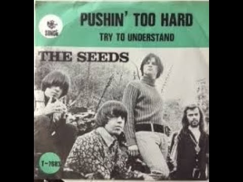 Pushin' Too Hard Seeds In Stereo Sound 2 1966 67 #36
