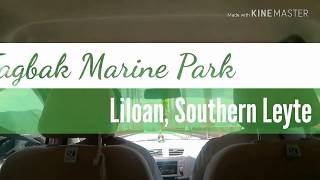 preview picture of video 'Tagbak Marine Park - Liloan, Southern Leyte'