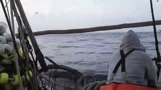 preview picture of video 'pesca de anchoveta  chimbote'