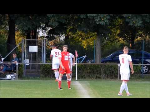 Lichtenauer FV - SG Wehretal   alle Tore & Highlights 2016/17