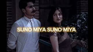 Download lagu SUNO MIYA SUNO MIYA TUM HO DIWAANE... (SLOWED/REVERB) mp3