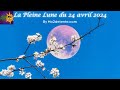 Maud : La Pleine Lune du 24 avril 2024 !