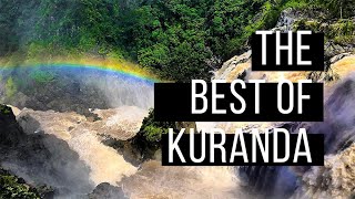 The Best of Kuranda!