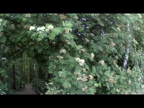 A country Walk , in Earlsheaton  and Ossett