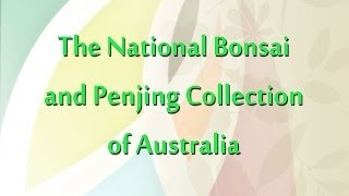 preview picture of video 'Bonsai Collection National Arboretum, Canberra'