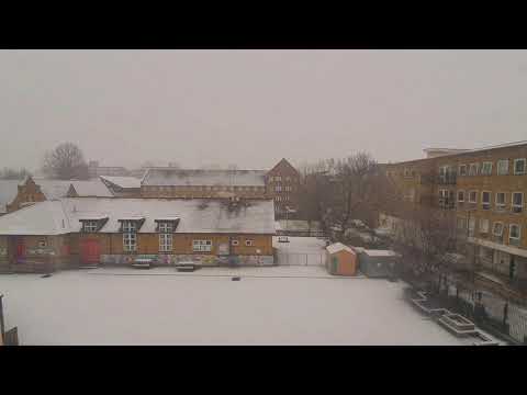 Ocean Tree - Schwarzwalder, Nu, Raz Ohara - London