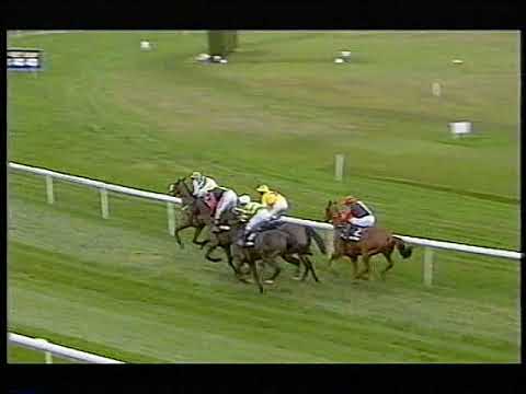 2003 Tingle Creek Trophy Moscow Flyer Includes Replay