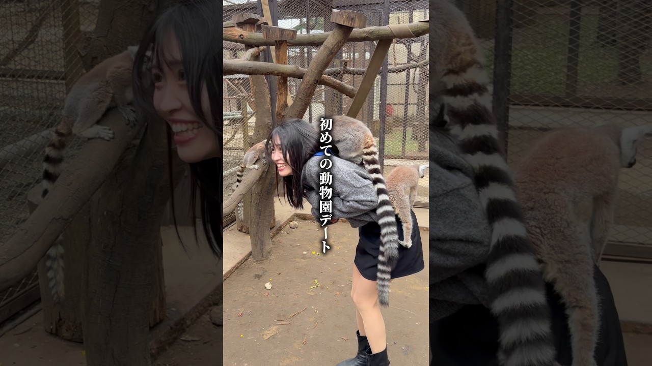 初めての動物園デート✌️✌️とっても楽しかった！！！！！！！！  #vlog  #djiosmonano #pr