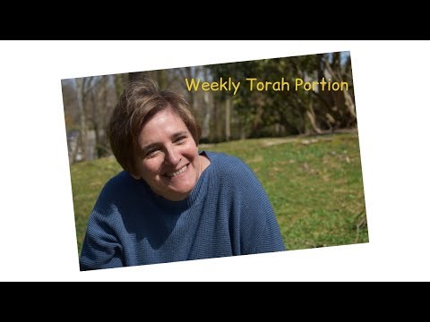 Weekly Torah Portion: Emor