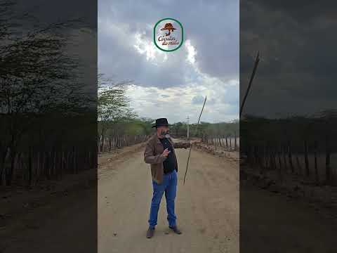 🌾 SÍTIO À VENDA ÀS MARGENS DO RIO PARAÍBA – SÃO DOMINGOS DO CARIRI-PB 🌾