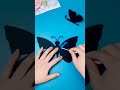 Craft Papillon Papillon Craft 2023