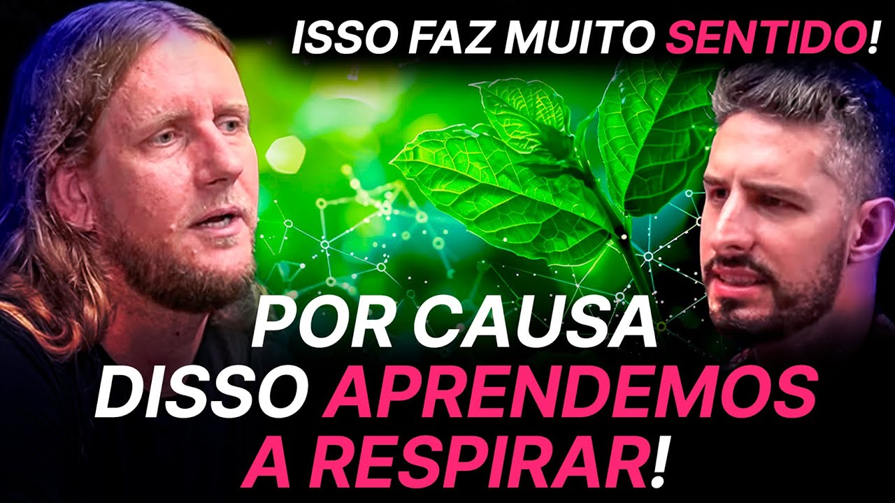 A TRANSFORMAÇÃO QUE PERMITIU A VIDA NA TERRA