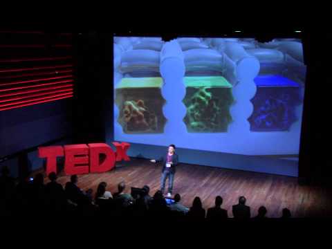 Smaller is better | Gustavo Andres Higuera | TEDxRSM