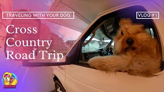 TRAVELING WITH YOUR DOG | Cross Country Road Trip | Dog Vlog #1 |