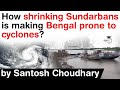 Climate Change Impact On Sundarbans How Shrinking Sundarbans Is Making Bengal Prone To Cyclones