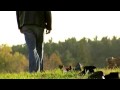 Twenty by Robert Cray Quicktime