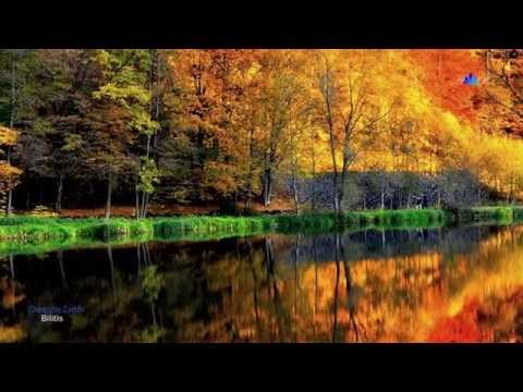 ♡ GHEORGHE ZAMFIR - Bilitis (amazing pan flute music)