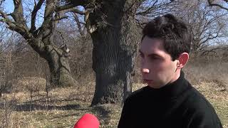 Пет дървета в Хасковска област са обявени за вековни
