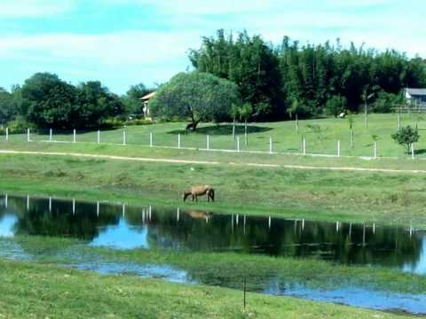 No Vazio De Um Milonguear video