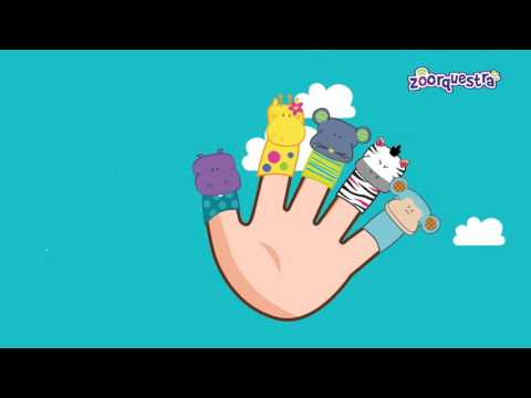 ZOORQUESTRA MÚSICA DOS DEDINHOS- FINGER FAMILY, DADDY FINGER-  (Videoclipe Infantil)
