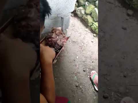 #shorts Watwat is life #cordillera #traditionalfood #traditional #car #cordilleran