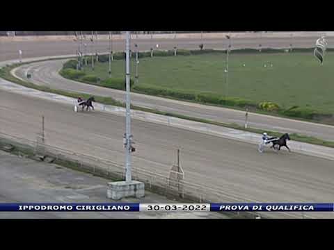 Aversa trotto 30 Marzo 2022 - Prova di qualifica e inserimento in categoria