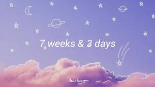 Cover art for 7 weeks and 3 days