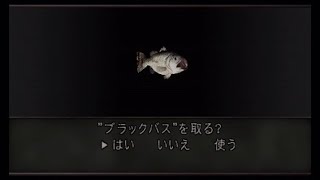 エージェントの休暇 【biohazard4】
