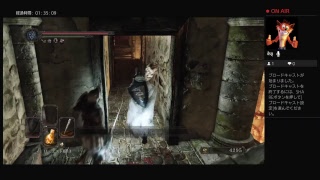 【ダクソ2】初見プレイ誰か助けて。召喚させて