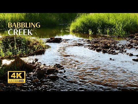 Babbling Creek Meditation: Using Nature Sounds for Mindfulness Practice | Relaxing Nature Sounds