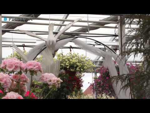 Garten & Floristik Prifling YouTube-Vdeominiatur 14