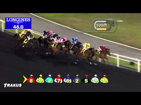 16.01.2014 Meydan (Dubai-UAE) 5.Race Dubawi Stakes 2014 - List 1.200 m