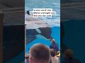 Man dies from Killer Whale at SeaWorld