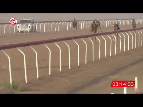 ش 8 (تعزيز) لـ سالم حمد بن سليم العويسي 6:36 ، شارة الشيخ طحنون 2026/8/22 حقايق الجبيب