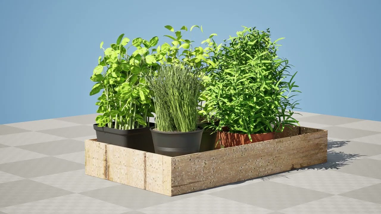 Rustic Herb Pot Plants 3D Model