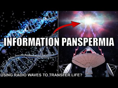 Could Life Be Transmitted Via Radio Waves? Information Panspermia