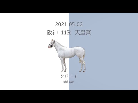 2021.05.02  阪神11R  天皇賞(春)