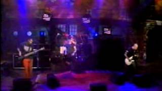 Rollins Band   Liar   Live @ MTV 120 Minutes   1994 05 15