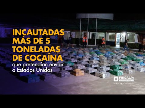 Incautadas más de 5 toneladas de cocaína que pretendían enviar a Estados Unidos