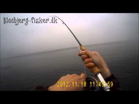 Blaabjerg-fisker.dk, Falster kystfiskeri
