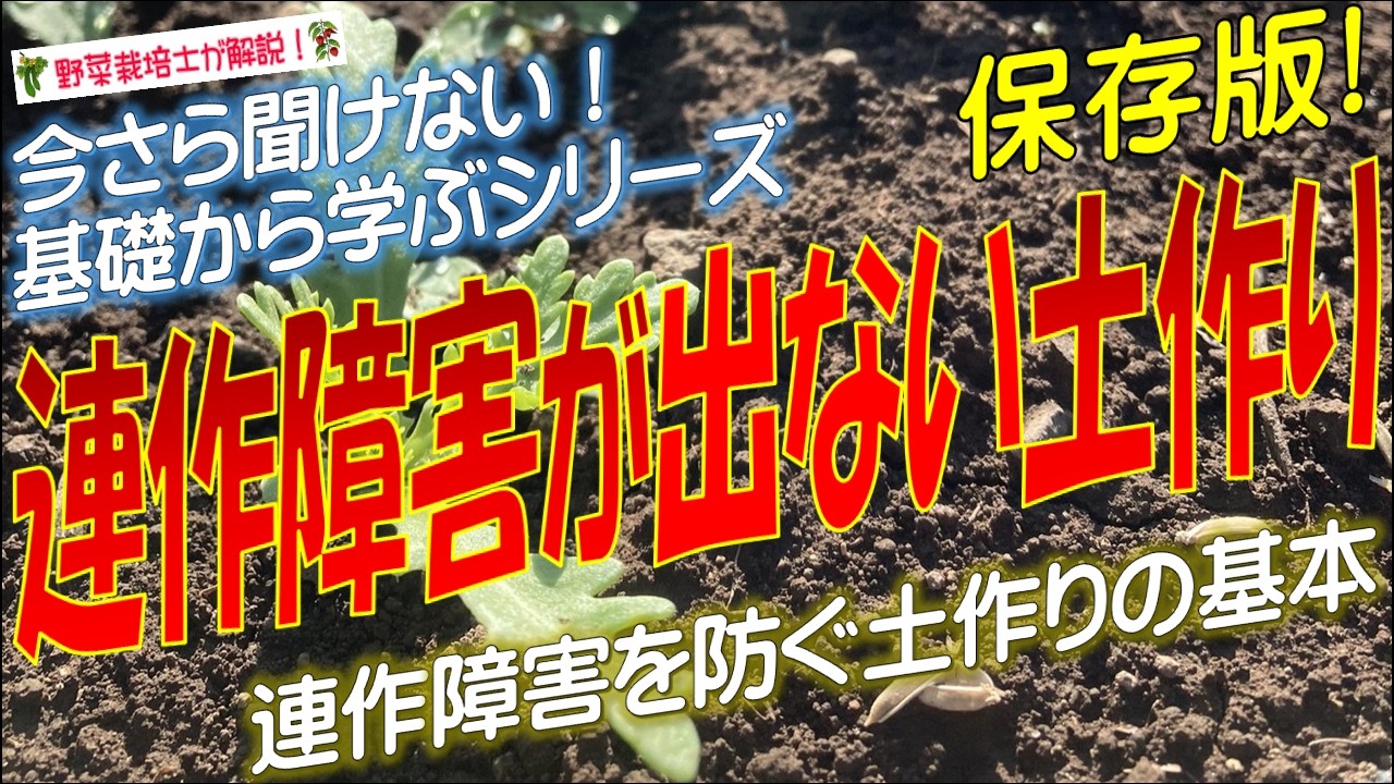 【連作障害対策！】野菜の連作障害を防ぐ方法（連作障害の基本を徹底解説！）