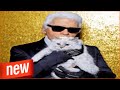 Hot | Karl Lagerfeld: Er Ging, Am Meisten Beunruhigend Ist Die Katze
