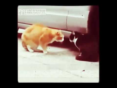 The Saddest Love Story =MUST WATCH= Better Than Twilight