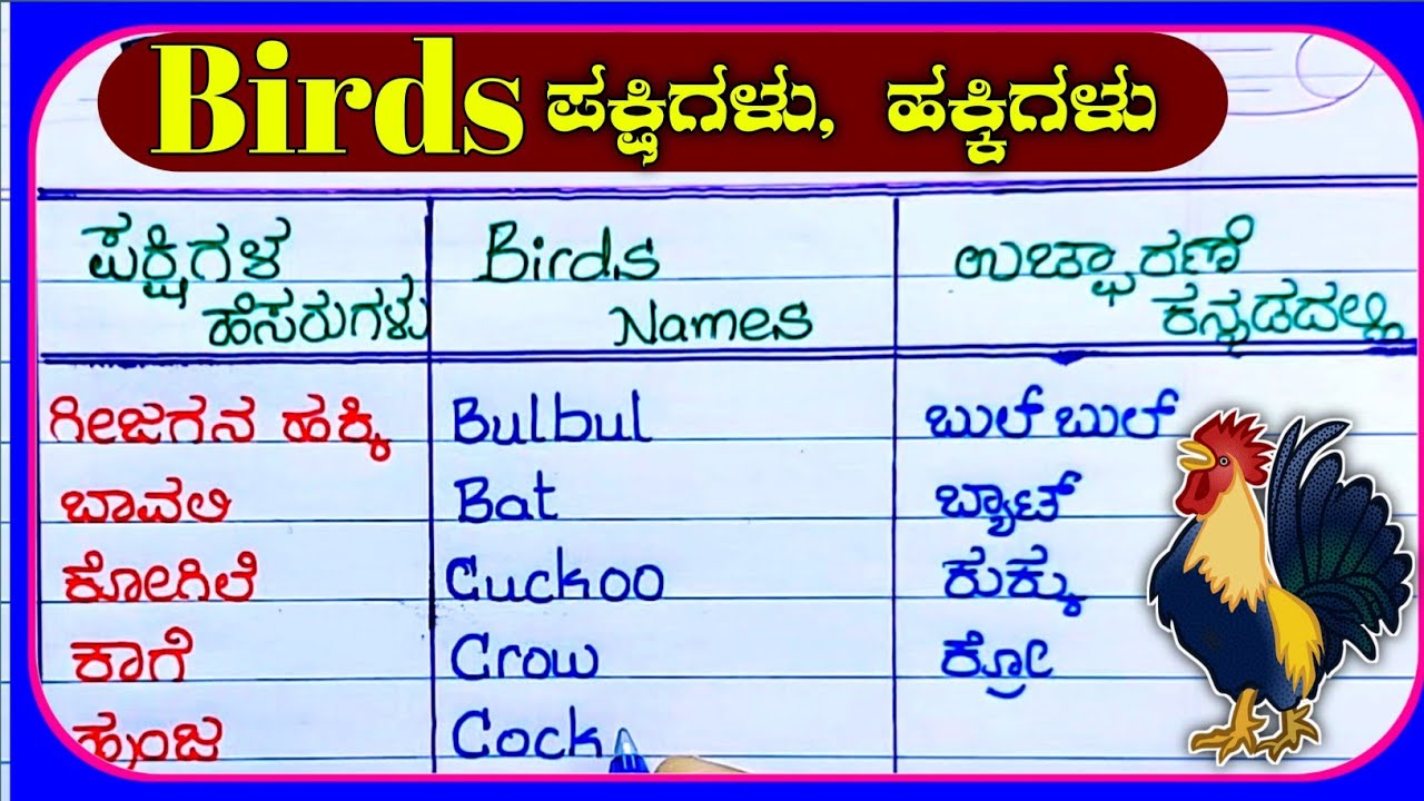 ಪಕ್ಷಿಗಳ ಹೆಸರುಗಳು | birds in Kannada | birds names in Kannada | birds names Kannada to English