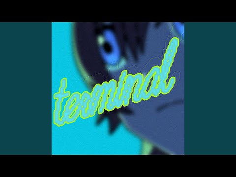 Terminal