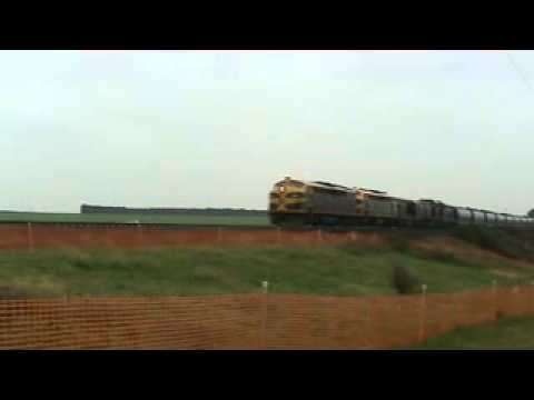 Elzorro B.G Grain Train Moorabool.10,08,2010