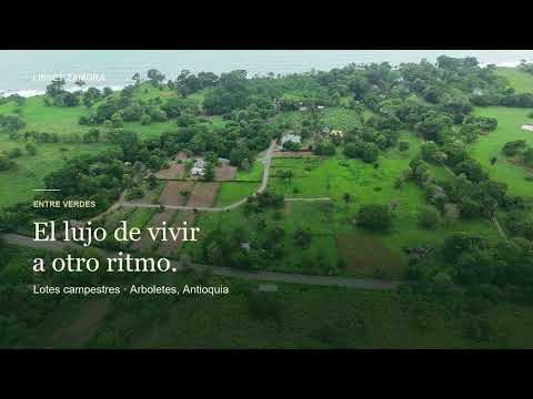 Entre Verdes | Lotes campestres a 150 metros del mar en Arboletes