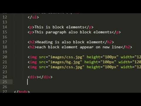 CSS Display | Module 6