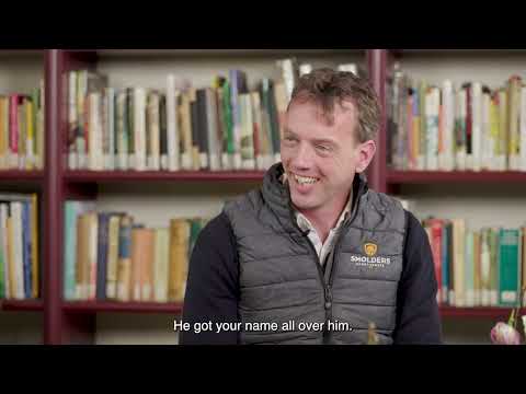 Harrie Smolders Stallion presentation 2025